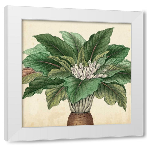 Garden Bounty V White Modern Wood Framed Art Print by Vision Studio