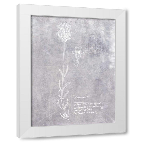 Essential Botanicals II White Modern Wood Framed Art Print by Fagalde, Jarman