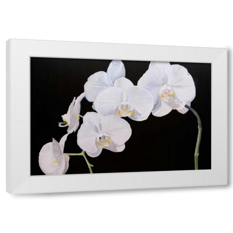 Dramatic Orchids I White Modern Wood Framed Art Print by Iafrate, Sandra