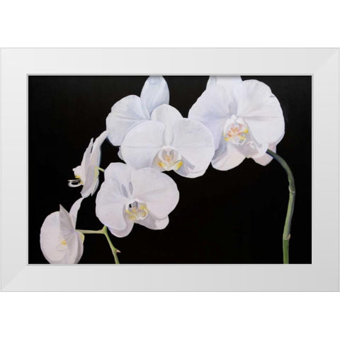Dramatic Orchids I White Modern Wood Framed Art Print by Iafrate, Sandra