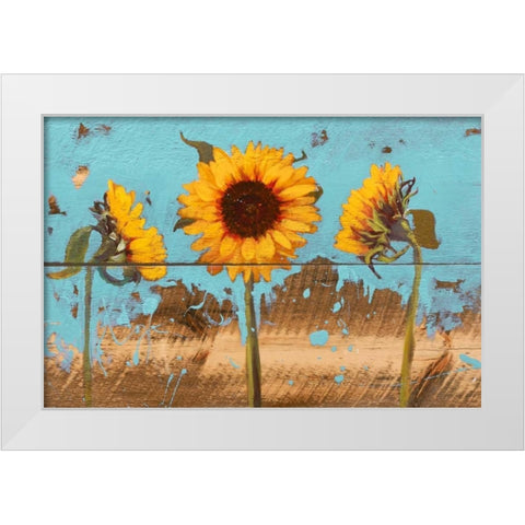 Sunflowers on Wood IV White Modern Wood Framed Art Print by Iafrate, Sandra