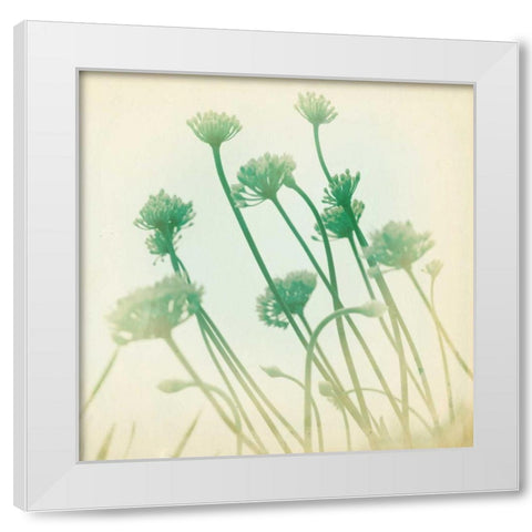 Faded Away II White Modern Wood Framed Art Print by Jorgensen, Jennifer