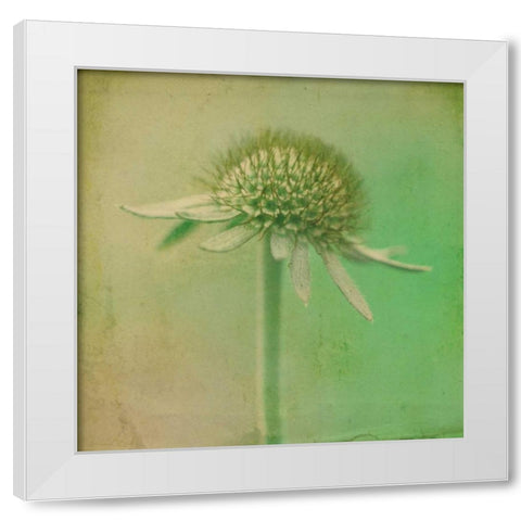 Faded Away III White Modern Wood Framed Art Print by Jorgensen, Jennifer
