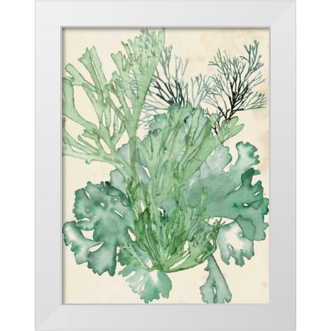Seaweed Composition II White Modern Wood Framed Art Print by McCavitt, Naomi