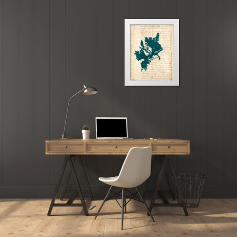 Vintage Teal Seaweed IV White Modern Wood Framed Art Print by Vision Studio