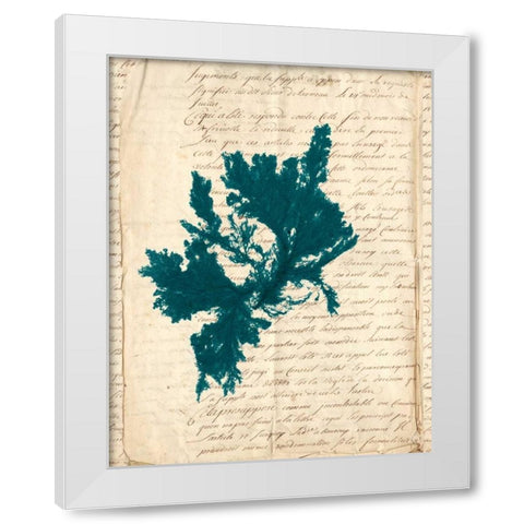 Vintage Teal Seaweed IV White Modern Wood Framed Art Print by Vision Studio