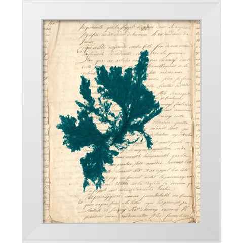 Vintage Teal Seaweed IV White Modern Wood Framed Art Print by Vision Studio