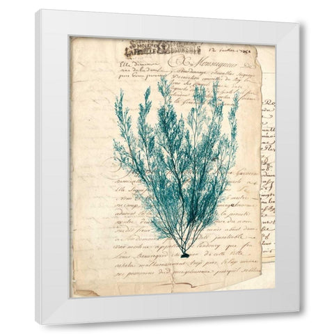 Vintage Teal Seaweed VII White Modern Wood Framed Art Print by Vision Studio