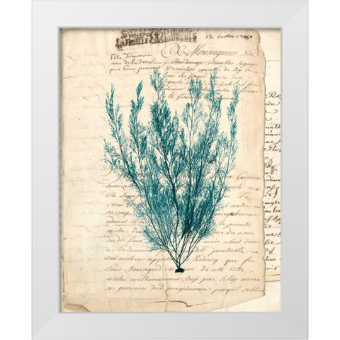 Vintage Teal Seaweed VII White Modern Wood Framed Art Print by Vision Studio
