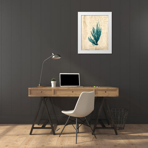 Vintage Teal Seaweed IX White Modern Wood Framed Art Print by Vision Studio