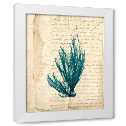 Vintage Teal Seaweed IX White Modern Wood Framed Art Print by Vision Studio