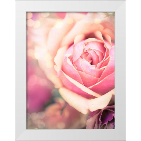 Rosie Pink I White Modern Wood Framed Art Print by Quintero, Sonja
