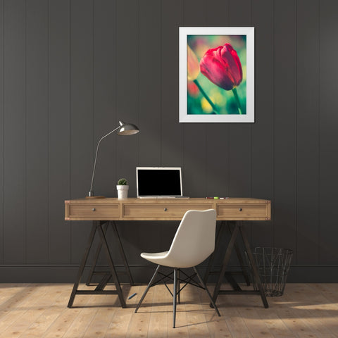 Tulip Sway II White Modern Wood Framed Art Print by Quintero, Sonja