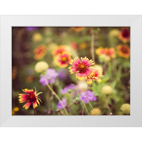 Wild Blooms III White Modern Wood Framed Art Print by Quintero, Sonja