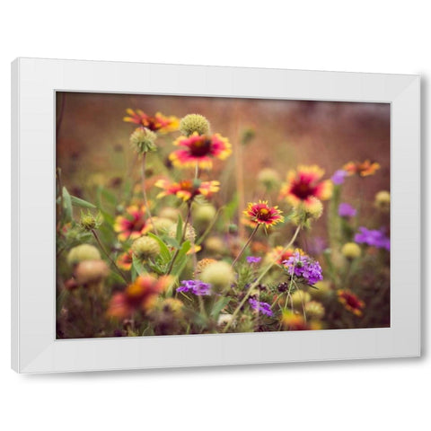 Wild Blooms IV White Modern Wood Framed Art Print by Quintero, Sonja