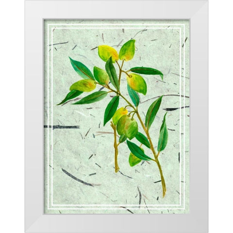 Olives on Textured Paper I White Modern Wood Framed Art Print by Wang, Melissa