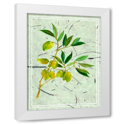 Olives on Textured Paper II White Modern Wood Framed Art Print by Wang, Melissa