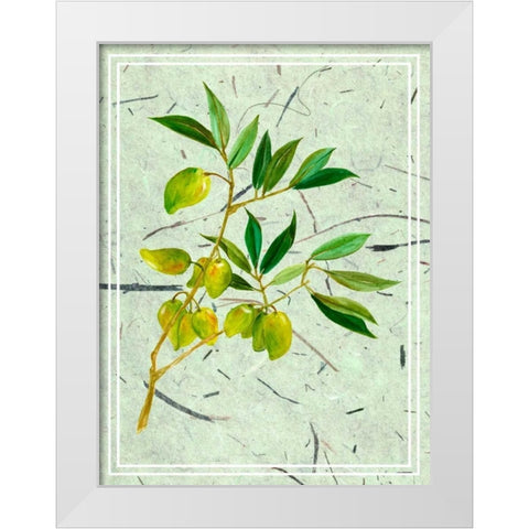 Olives on Textured Paper II White Modern Wood Framed Art Print by Wang, Melissa