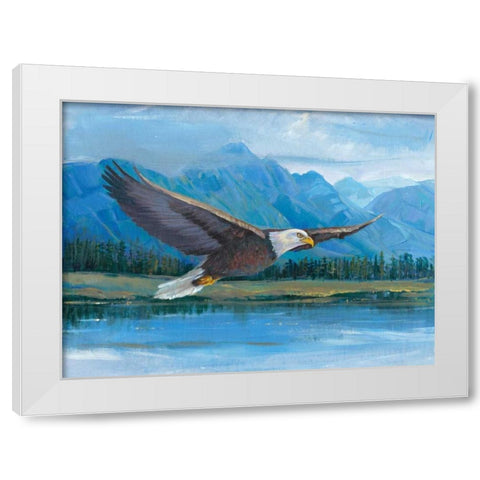 Eagle Soaring White Modern Wood Framed Art Print by OToole, Tim