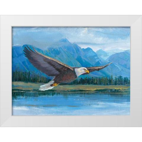 Eagle Soaring White Modern Wood Framed Art Print by OToole, Tim