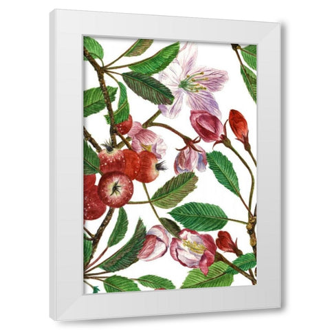 Malus Melliana I White Modern Wood Framed Art Print by Wang, Melissa