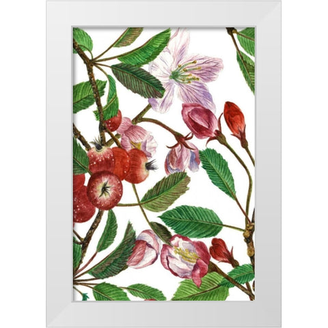 Malus Melliana I White Modern Wood Framed Art Print by Wang, Melissa