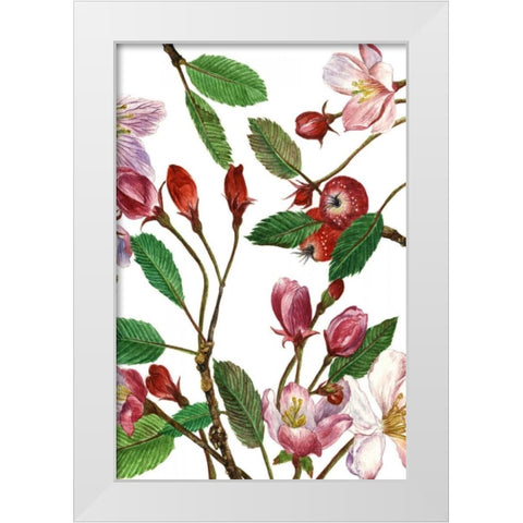 Malus Melliana II White Modern Wood Framed Art Print by Wang, Melissa