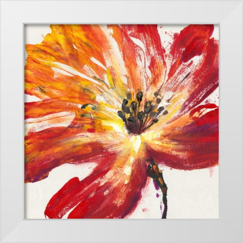Fleur Rouge II White Modern Wood Framed Art Print by OToole, Tim