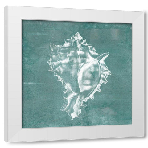 Solitary Shell I White Modern Wood Framed Art Print by Goldberger, Jennifer