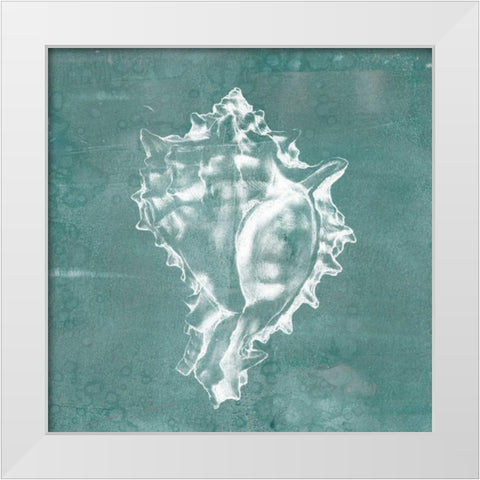 Solitary Shell I White Modern Wood Framed Art Print by Goldberger, Jennifer