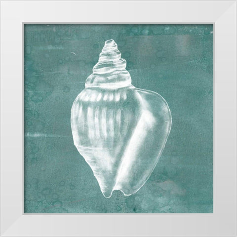 Solitary Shell II White Modern Wood Framed Art Print by Goldberger, Jennifer