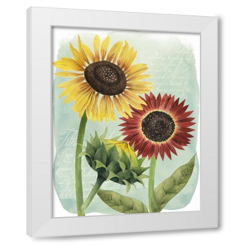 Sunflower Study II White Modern Wood Framed Art Print by Popp, Grace