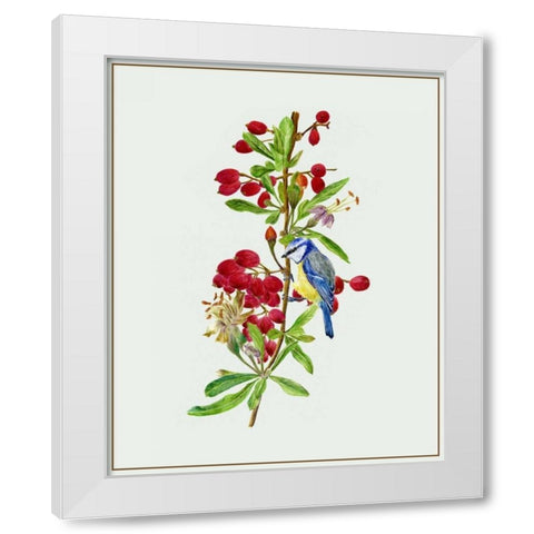 Lycium Barbarum I White Modern Wood Framed Art Print by Wang, Melissa