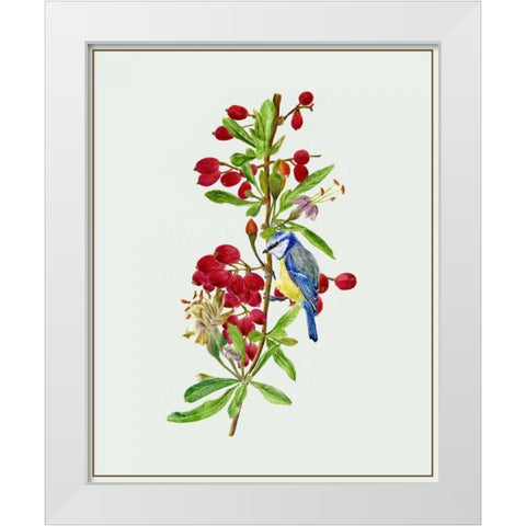 Lycium Barbarum I White Modern Wood Framed Art Print by Wang, Melissa