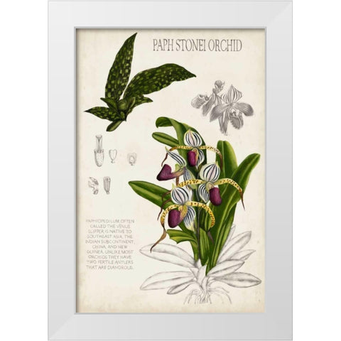 Orchid Field Notes I White Modern Wood Framed Art Print by McCavitt, Naomi