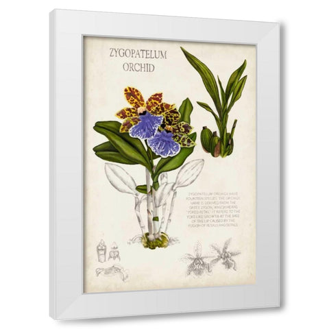 Orchid Field Notes II White Modern Wood Framed Art Print by McCavitt, Naomi