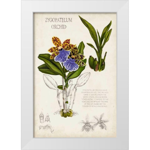 Orchid Field Notes II White Modern Wood Framed Art Print by McCavitt, Naomi