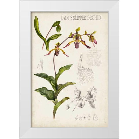 Orchid Field Notes III White Modern Wood Framed Art Print by McCavitt, Naomi