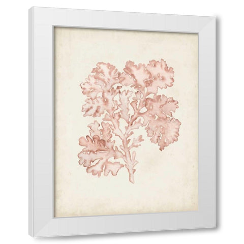 Seaweed Specimens VI White Modern Wood Framed Art Print by McCavitt, Naomi