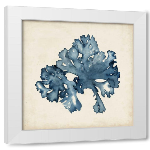 Seaweed Specimens IX White Modern Wood Framed Art Print by McCavitt, Naomi