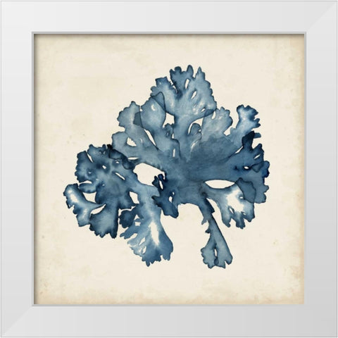 Seaweed Specimens IX White Modern Wood Framed Art Print by McCavitt, Naomi