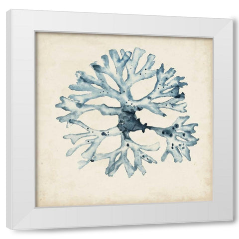 Seaweed Specimens X White Modern Wood Framed Art Print by McCavitt, Naomi