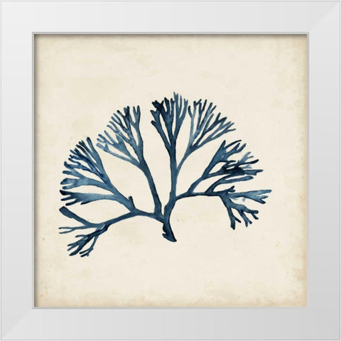 Seaweed Specimens XI White Modern Wood Framed Art Print by McCavitt, Naomi