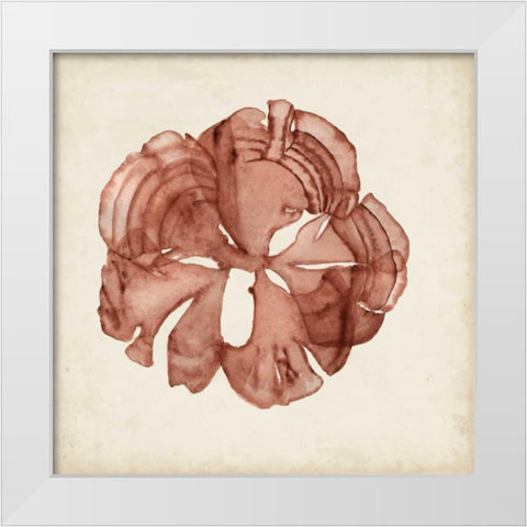 Seaweed Specimens XIV White Modern Wood Framed Art Print by McCavitt, Naomi