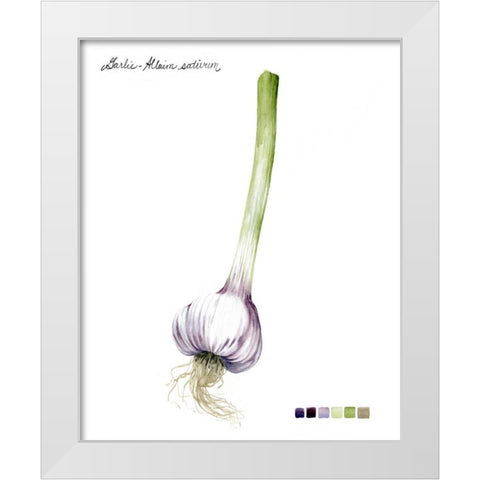 Root Vegetable I White Modern Wood Framed Art Print by Popp, Grace