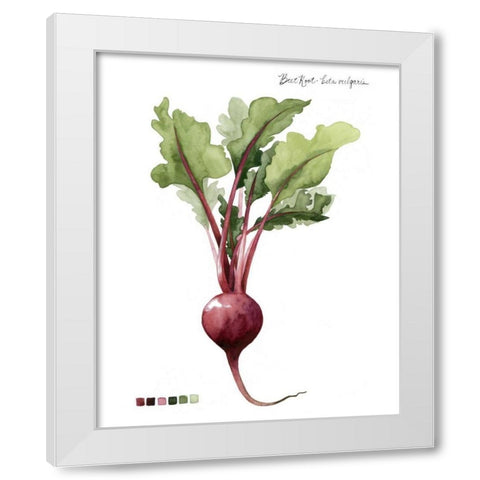 Root Vegetable II White Modern Wood Framed Art Print by Popp, Grace