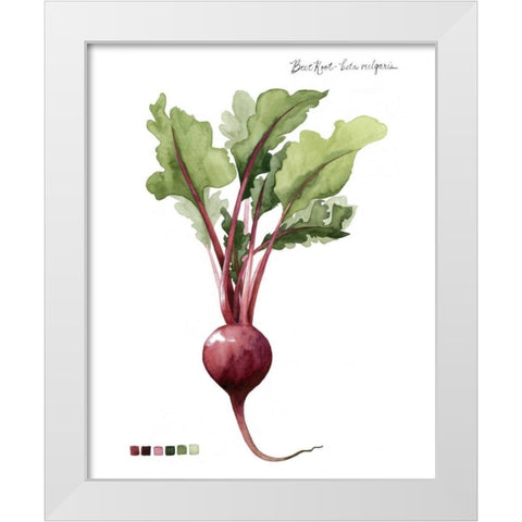 Root Vegetable II White Modern Wood Framed Art Print by Popp, Grace