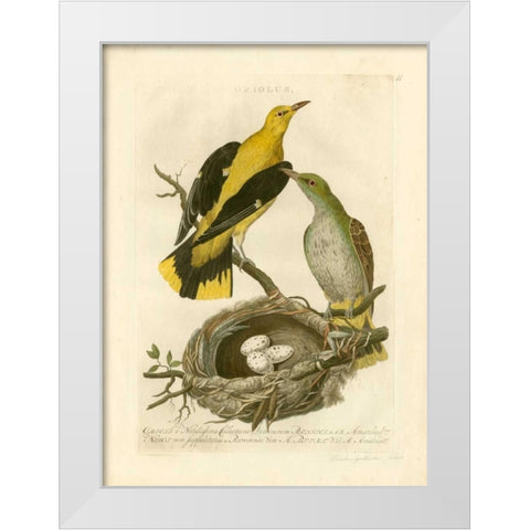 Nozeman Birds and Nests  II White Modern Wood Framed Art Print by Nozeman