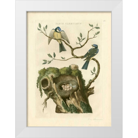 Nozeman Birds and Nests  III White Modern Wood Framed Art Print by Nozeman