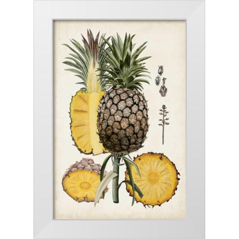 Pineapple Botanical Study II White Modern Wood Framed Art Print by McCavitt, Naomi